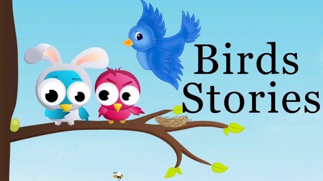 BIRDS STORY